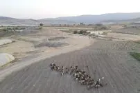 باستان‌شناسان بقایای یک «ساختمان 5 هزارساله» را در کردستان عراق پیدا کردند