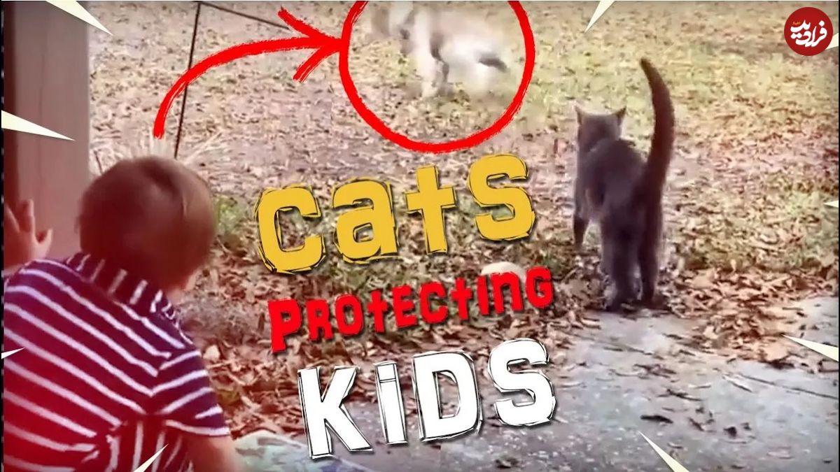 (ویدئو) لحظه های حیرت انگیز از نجات کودکان توسط گربه های شجاع