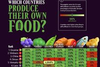 اینفوگرافی؛ ۵۰ کشوری که بیشترین خودکفایی را در تولید مواد غذایی دارند؛ جایگاه ایران