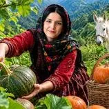 ببینید| غذای روستایی در ایران؛ پخت کدو تنبل شکم پر به روش سنتی در تنور زیر زمینی