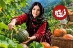 ببینید| غذای روستایی در ایران؛ پخت کدو تنبل شکم پر به روش سنتی در تنور زیر زمینی