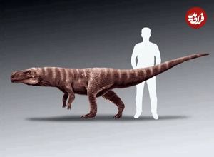 (تصاویر) کشف ردپای یک کروکودیل دایناسور که مثل انسان روی دو پا راه می‌رفته!