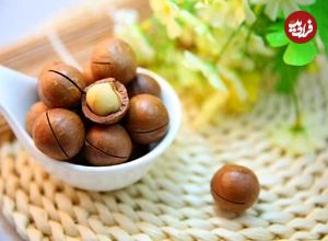ترشی فندق؛ چاشنی خوشمزه غنی از پروتئین و فیبر
