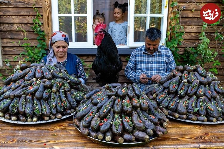 ببینید؛ غذای روستایی در آذربایجان؛ تهیه دلمه و ترشی با بادمجان