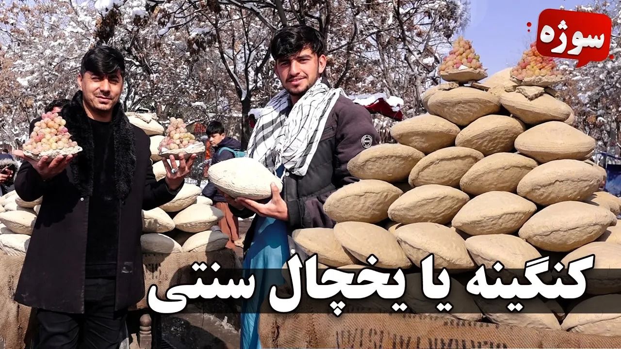 (ویدئو) روش هوشمندانه افغان ها برای نگهداری شش ماهه انگور در کاهگل