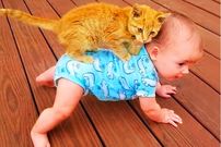 (ویدئو) خنده دار ترین لحظه های گربه ها با کودکان