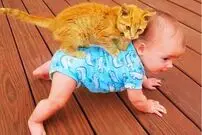 (ویدئو) خنده دار ترین لحظه های گربه ها با کودکان