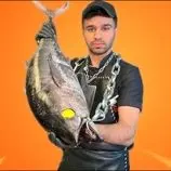 ببینید| غذای خیابانی در ایران؛ برش ماهرانه ماهی تن و پخت یک غذای متفاوت با آن