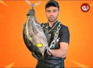 ببینید| غذای خیابانی در ایران؛ برش ماهرانه ماهی تن و پخت یک غذای متفاوت با آن