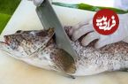 ببینید| غذای خیابانی در تایلند؛ پخت ماهی گروپر به دو روش مختلف در بانکوک
