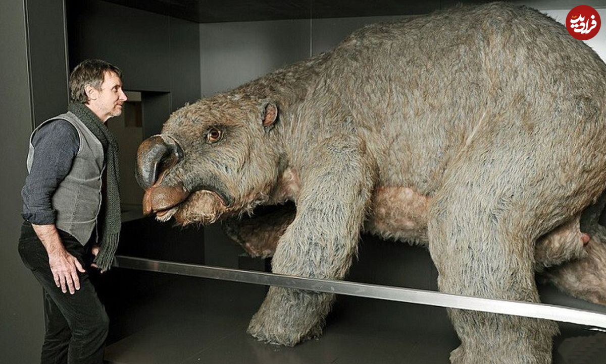 بقایای جانور عظیم‌الجثه ۲۵ میلیون ساله در استرالیا یافت شد!