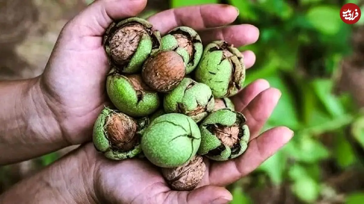 خوردن گردو در شب چه خواصی دارد؟