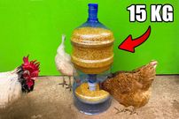ببینید؛ نحوه ساخت یک دانخوری ساده برای مرغ ها با استفاده از مخزن آب سردکن