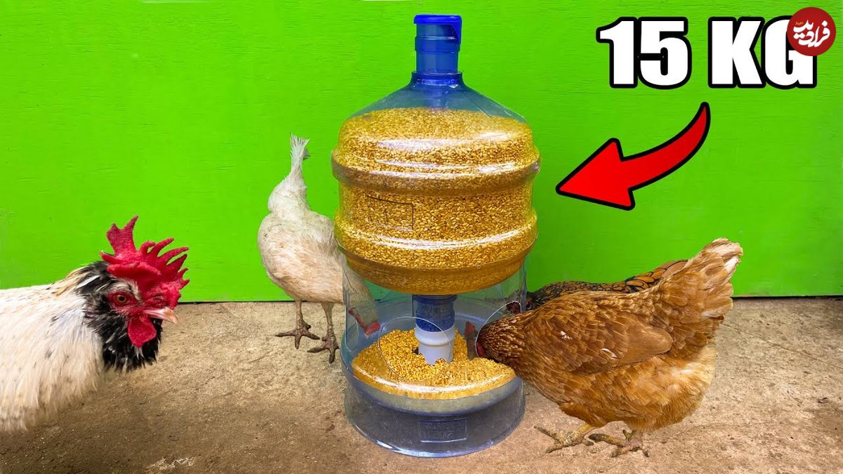 ببینید؛ نحوه ساخت یک دانخوری ساده برای مرغ ها با استفاده از مخزن آب سردکن