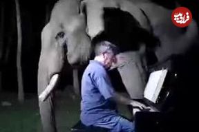 (ویدیو) لحظه ناب از گریه فیل کور بعد از شنیدن موسیقی