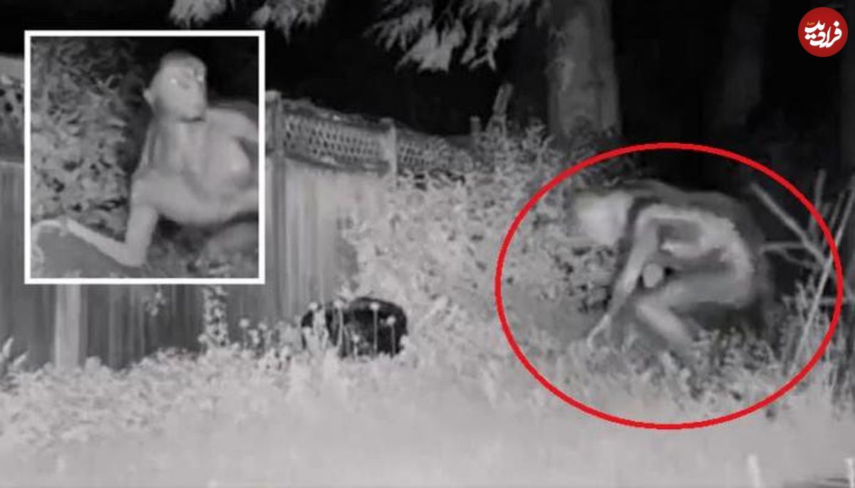 (ویدیو) تصاویر منتشره پلیس آمریکا از جولان یک موجود بیگانه ۳ متری در لاس‌وگاس!