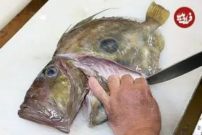 ببینید| غذای خیابانی در ژاپن؛ تهیه دو نوع غذا با «ماهی جان دوری» در اوکیناوا