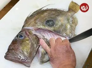 ببینید| غذای خیابانی در ژاپن؛ تهیه دو نوع غذا با «ماهی جان دوری» در اوکیناوا