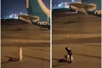 (ویدئو) نماز خواندن یک مسافر روی باند فرودگاه هنگام پرواز هواپیما!