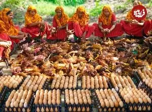 ببینید| غذای روستایی در هند؛ پخت یک غذای سنتی با 700 مرغ، تخم مرغ و حبوبات