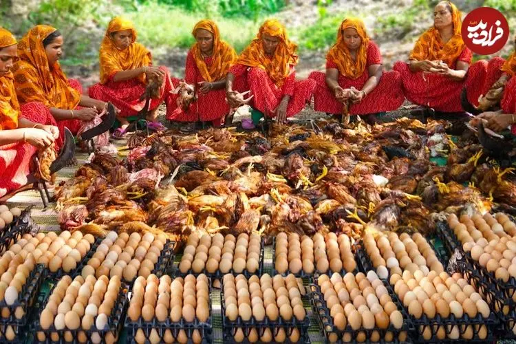 ببینید| غذای روستایی در هند؛ پخت یک غذای سنتی با 700 مرغ، تخم مرغ و حبوبات