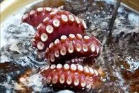 ببینید| غذای خیابانی در ژاپن؛ پخت یک غذا با هشت پای غول پیکر و سبزیجات در اوکیناوا