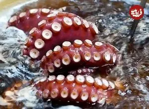 ببینید| غذای خیابانی در ژاپن؛ پخت یک غذا با هشت پای غول پیکر و سبزیجات در اوکیناوا