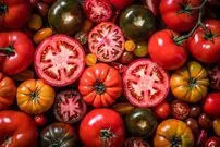 خوردن گوجه فرنگی برای این افراد ضرر دارد؛ ۵ عارضه و نکته مهم که حتماً بدانید