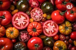 خوردن گوجه فرنگی برای این افراد ضرر دارد؛ ۵ عارضه و نکته مهم که حتماً بدانید