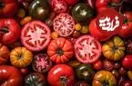 خوردن گوجه فرنگی برای این افراد ضرر دارد؛ ۵ عارضه و نکته مهم که حتماً بدانید