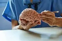 دو هزار سال پیش با این وسیله مغز را جراحی می‌کردند!