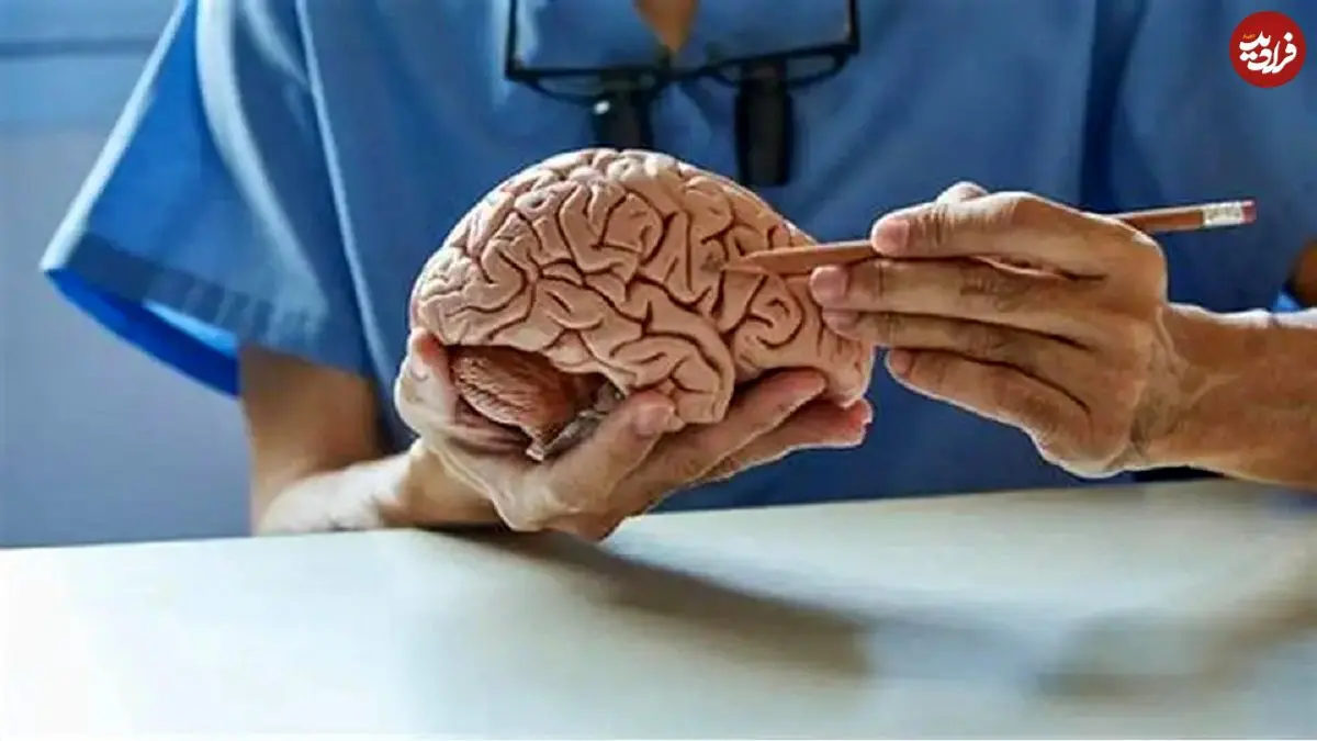 دو هزار سال پیش با این وسیله مغز را جراحی می‌کردند!