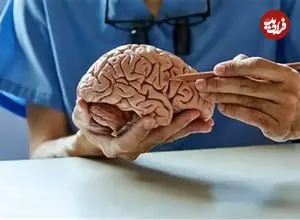 دو هزار سال پیش با این وسیله مغز را جراحی می‌کردند!