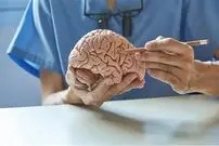 دو هزار سال پیش با این وسیله مغز را جراحی می‌کردند!