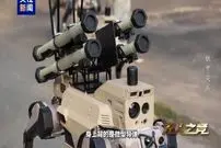 عکس| رونمایی از گرگ‌های رباتیک نظامی / دسته‌های مسلح آماده برای جنگ شهری