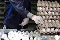 (ویدیو) حمل عجیب ۷۳۵ عدد تخم‌مرغ روی سر توسط یک مرد
