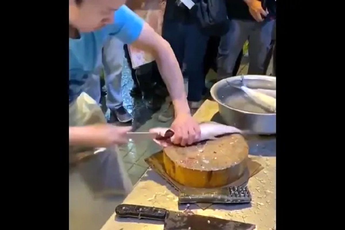 (ویدئو) سرعت افسانه این ماهی فروش در بیرون کشیدن گوشت ماهی بدون برش