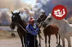 ببینید| فرار اسب‌ها از میان شعله‌های آتش