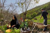 ببینید؛ غذای روستایی در ایران؛ پخت پلو کوفته در طبیعت سرسبز کردستان