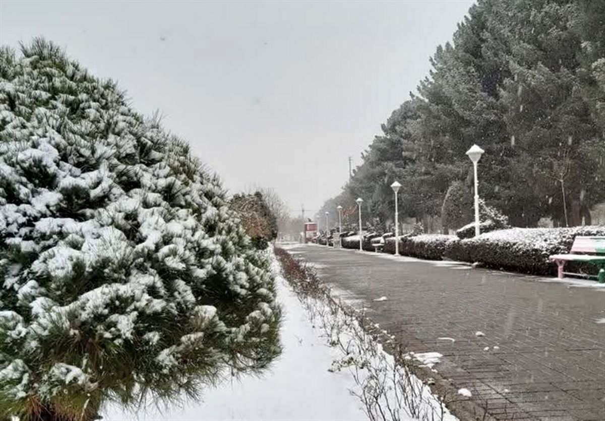 (ویدئو) راه حل باریدن برف در تهران پیدا شد!