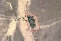 عکس| بازگشت یک تصویر مشهور؛ روستایی که از آسمان شبیه درخت است 