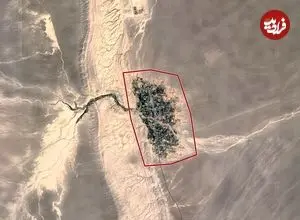 عکس| بازگشت یک تصویر مشهور؛ روستایی که از آسمان شبیه درخت است 