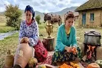 ببینید| غذای روستایی در ایران؛ پخت کدو پلو و تهیه کره در طبیعت