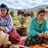 ببینید| غذای روستایی در ایران؛ پخت کدو پلو و تهیه کره در طبیعت