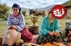 ببینید| غذای روستایی در ایران؛ پخت کدو پلو و تهیه کره در طبیعت