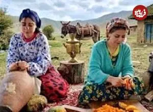 ببینید| غذای روستایی در ایران؛ پخت کدو پلو و تهیه کره در طبیعت