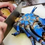 ببینید| غذای خیابانی در پالائو؛ پخت خرچنگ نارگیل غول پیکر به چهار روش در کرور