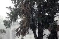 این استان‌ها در سه روز آینده بارانی هستند؛ هشدار هواشناسی به مسافران