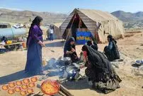 ببینید| غذای روستایی در ایران؛ پخت ماکارونی توسط بانوان عشایر در طبیعت