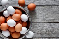 «تخم‌مرغ قهوه‌ای» بهتر است یا «تخم‌مرغ سفید»؟